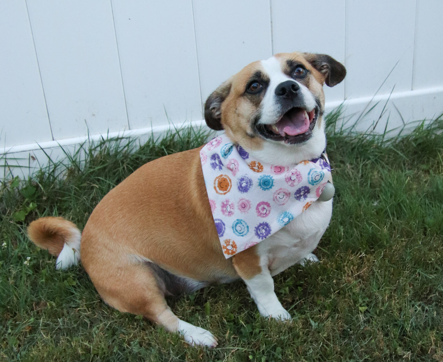 Smiley Face Bandana