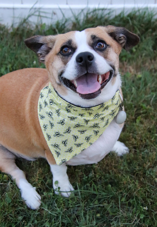 Yellow Bee Bandana