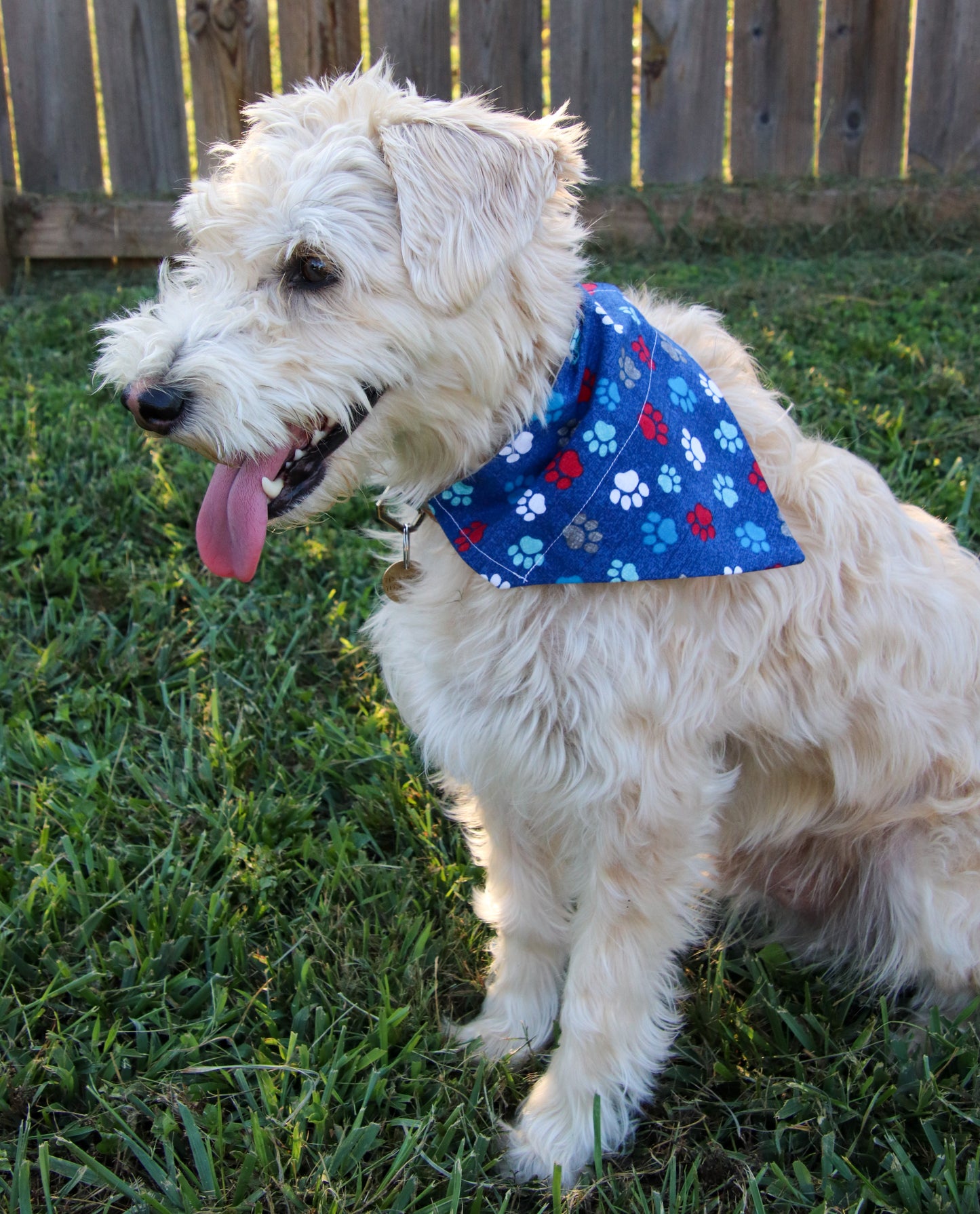 Red, White & Blue Pawprint Bandana