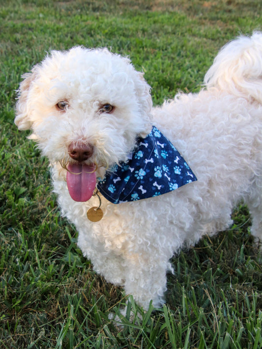 Blue Pawprint Bandana