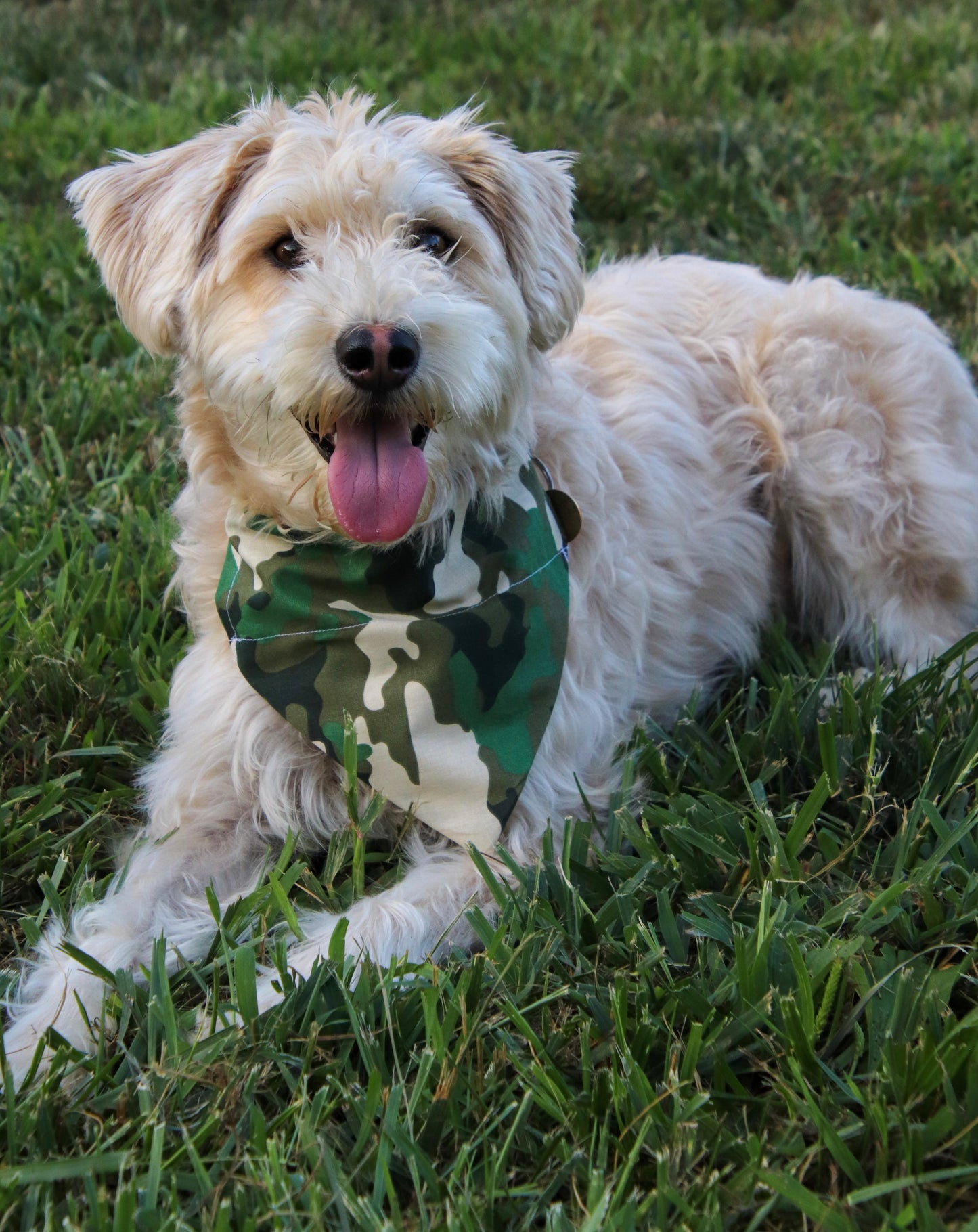 Light Green Camo Bandana