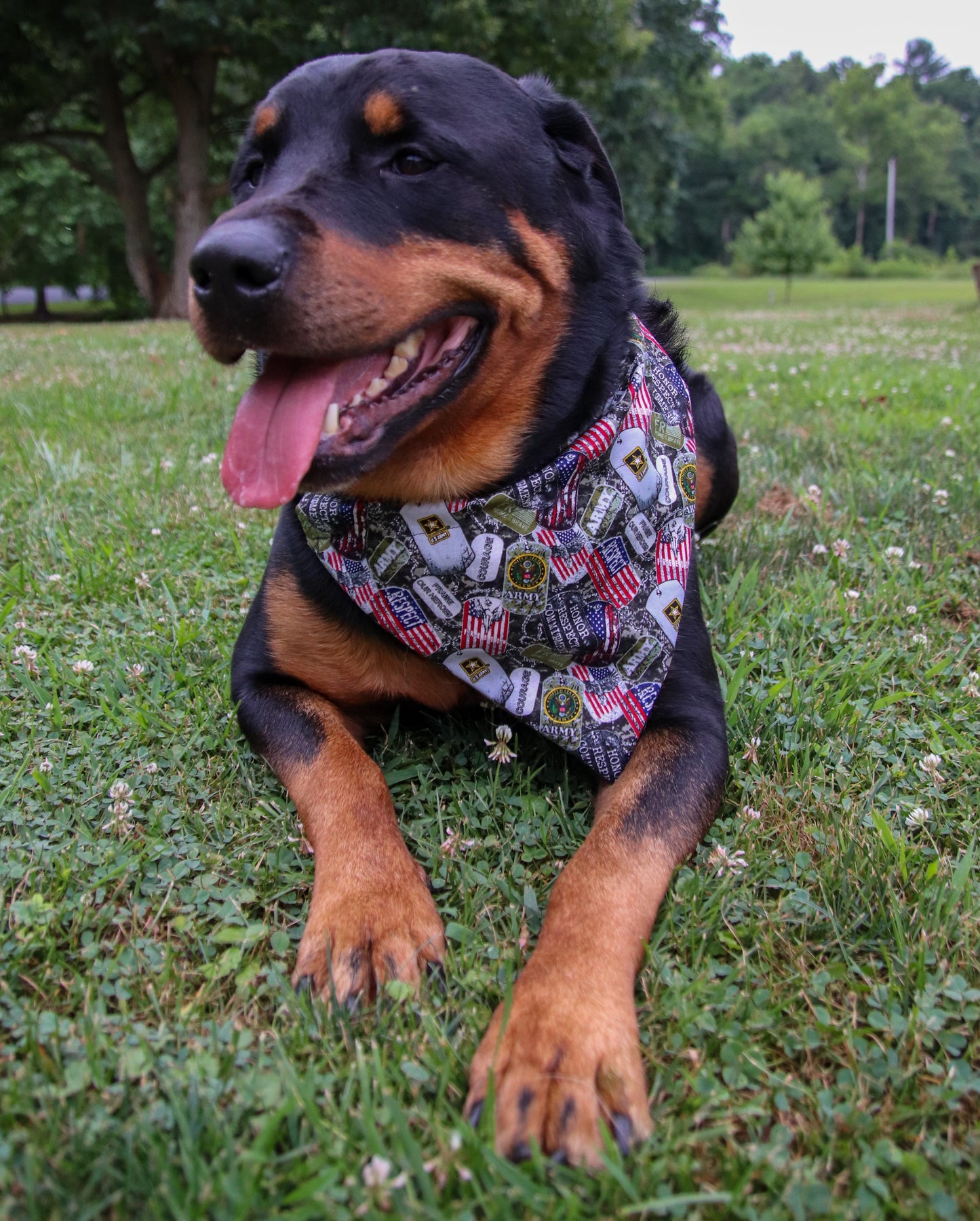 US Army Bandana