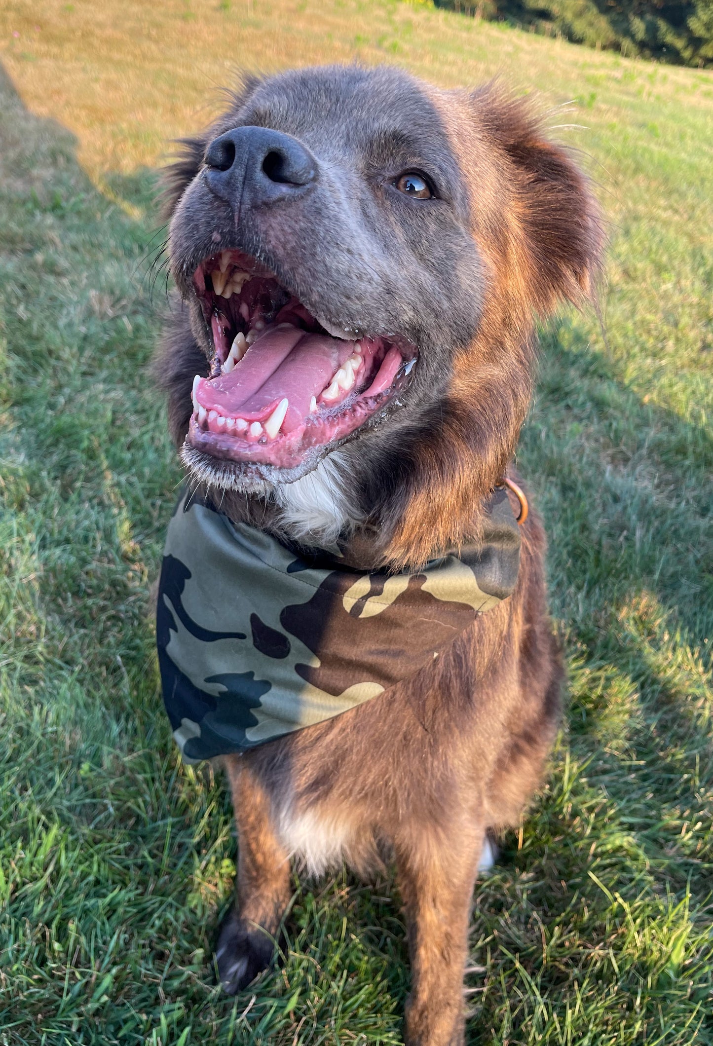 Camo bandana