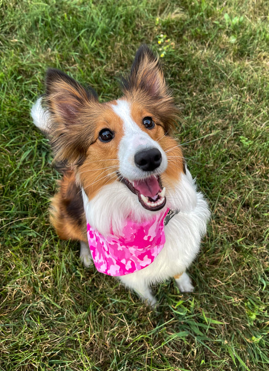 Small Pink Camo Bandana