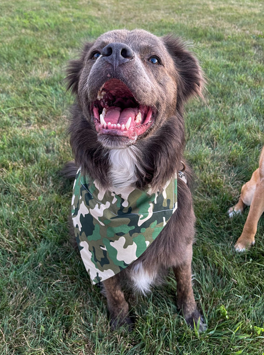 Light Green Camo Bandana