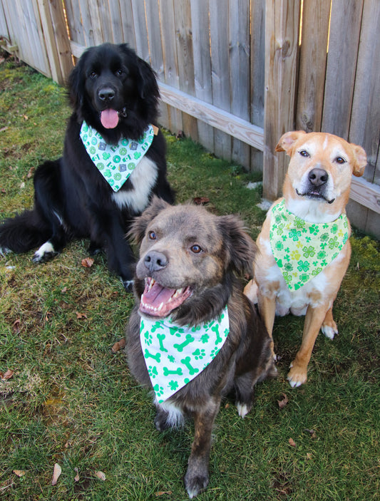 St.Patrick’s Day Bone Bandana