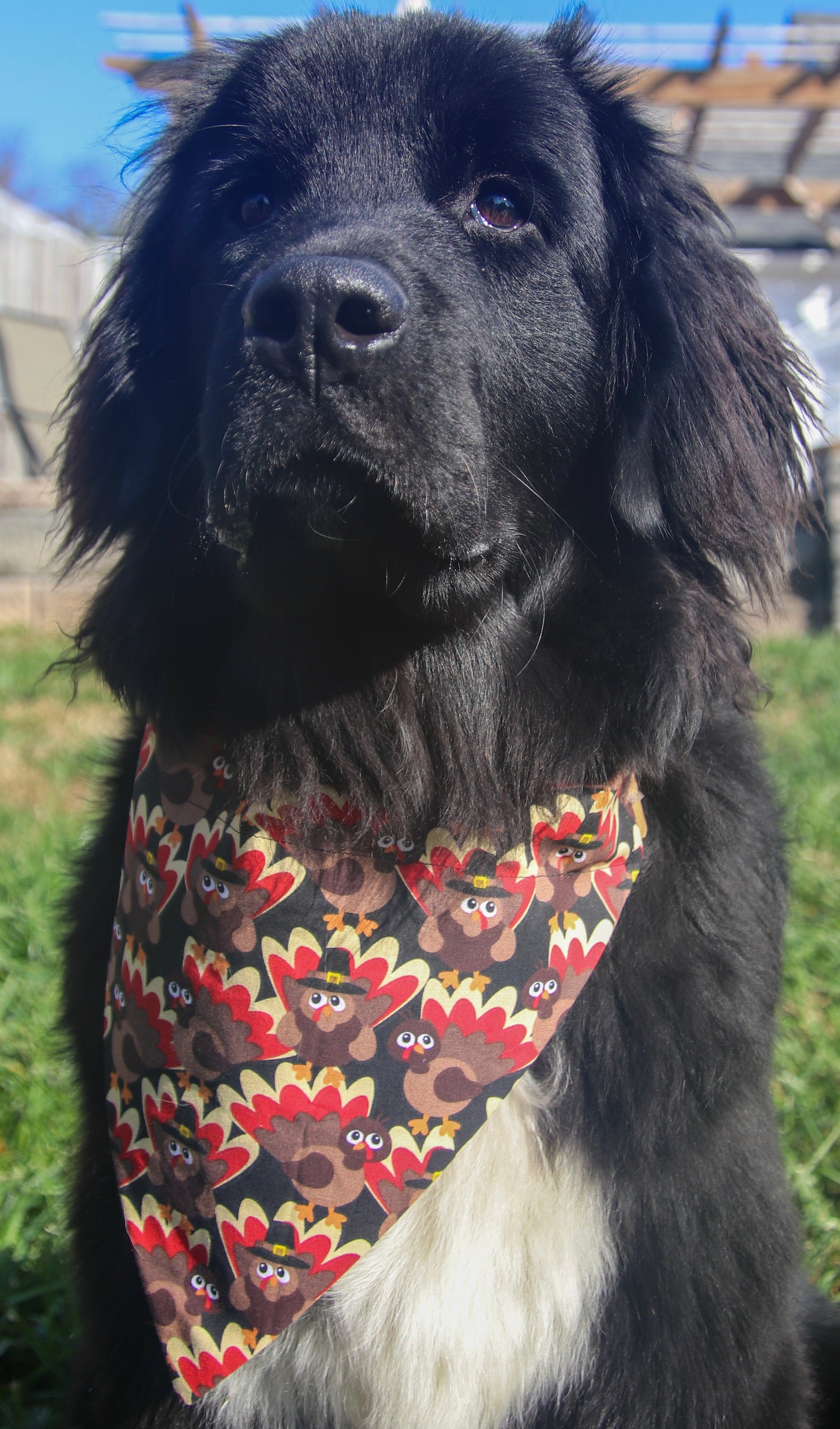 Turkey Bandana