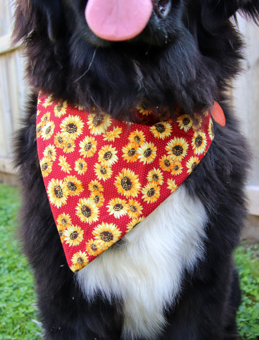 Red Fall Sunflower Bandana