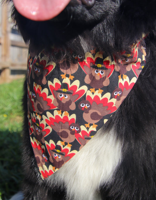 Turkey Bandana
