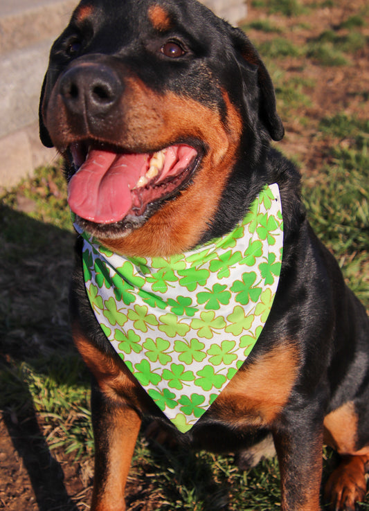 St.Patrick’s Day Glitter Shamrock Bandana