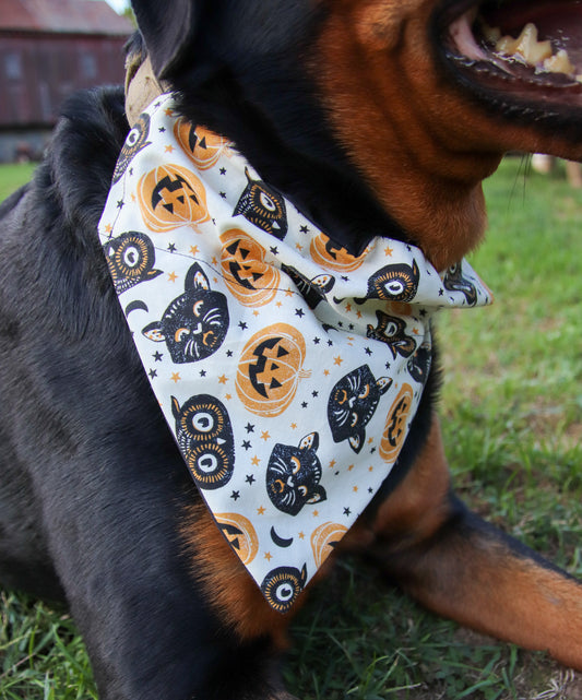 Cat, Owl & Pumpkin Bandana