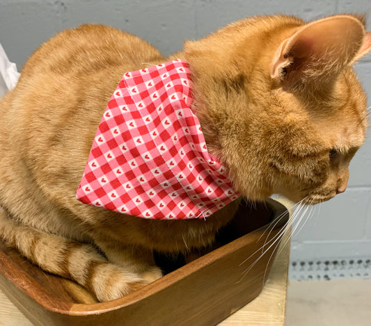 Valentine’s Day Plaid/Heart Cat Bandana