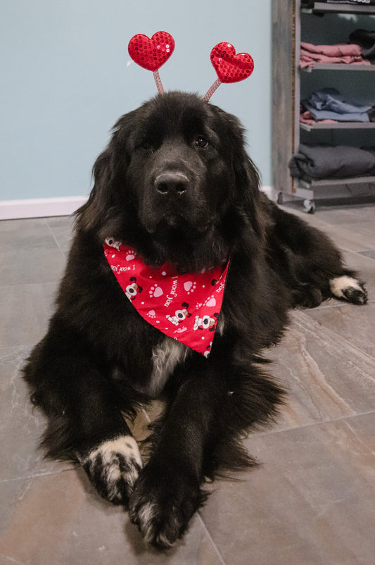 “I Woof You” Valentine’s Day Bandana