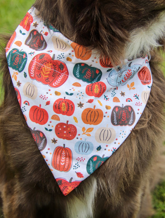 Fall Pumpkin Bandana