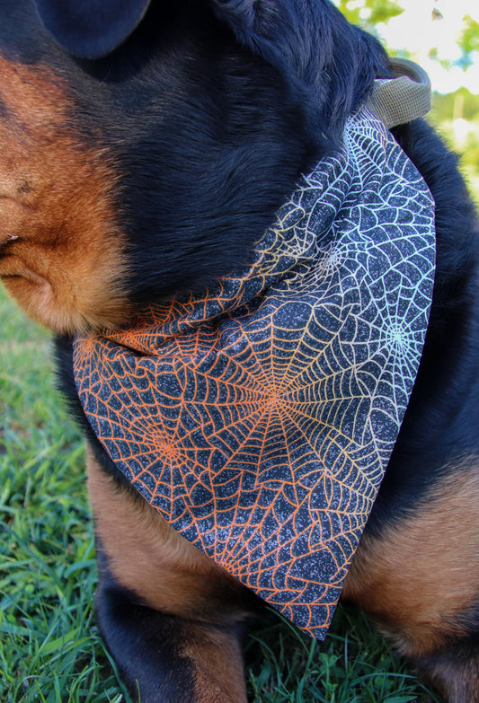 Glitter Spiderweb Bandana