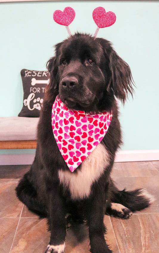 Red/Pink/White Heart Bandana