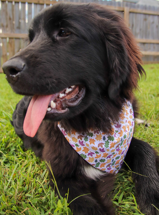 Fall Leaf Bandana