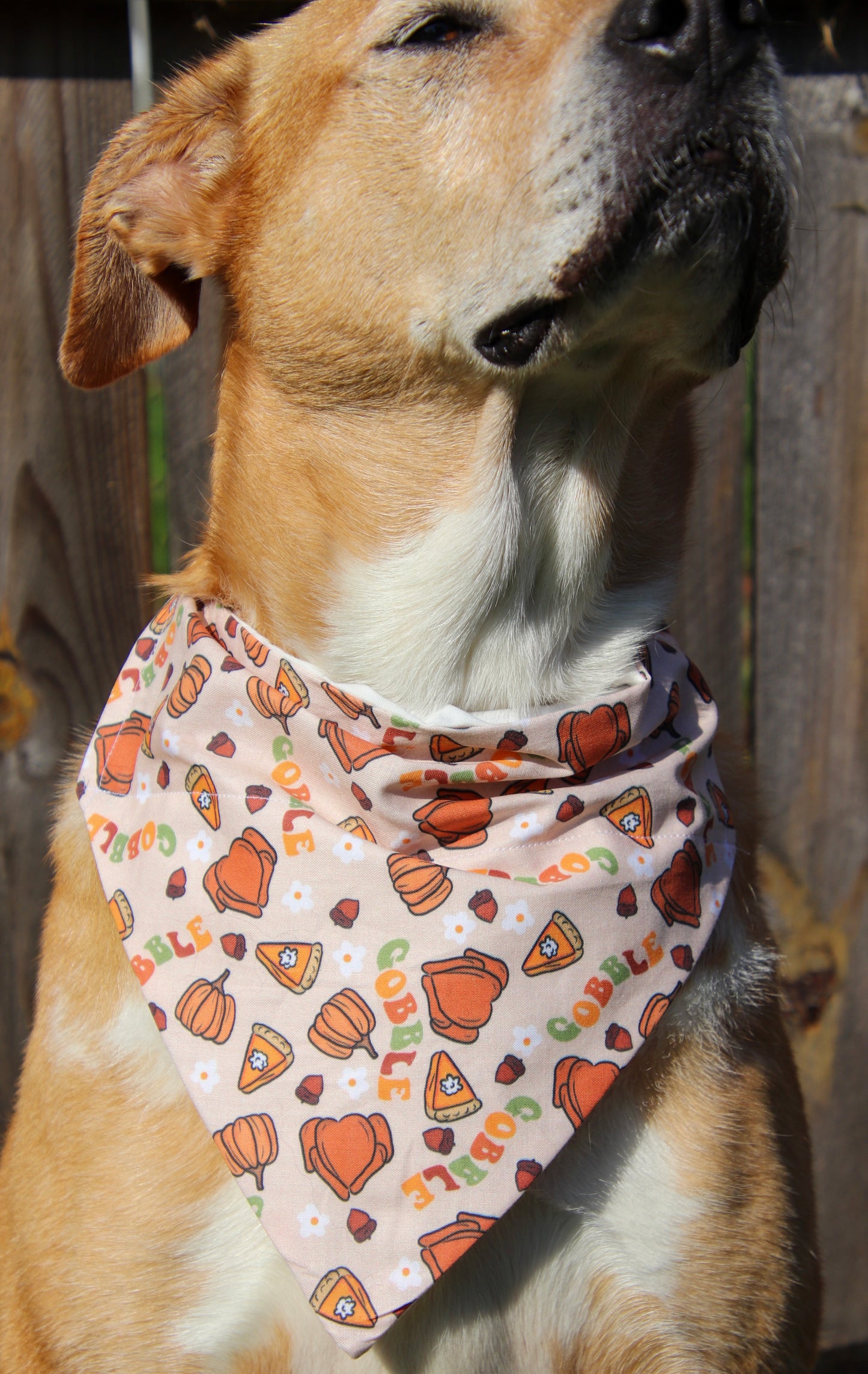 Groovy Gobble Bandana