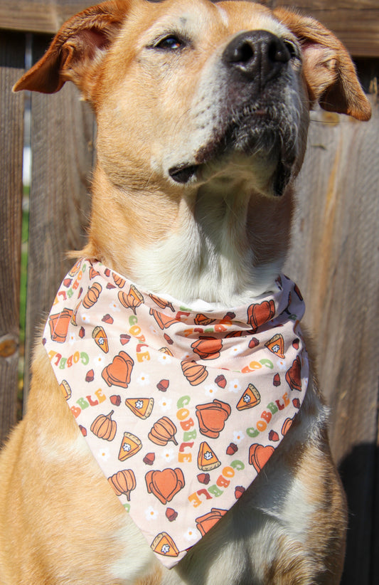 Groovy Gobble Bandana