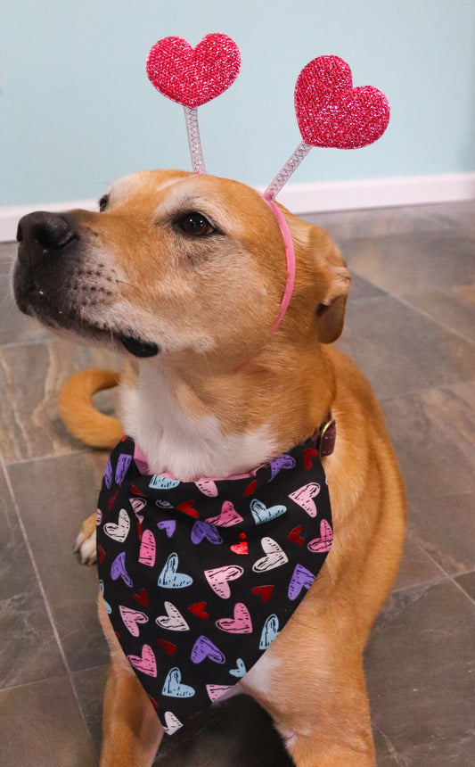 Pastel Chalk Heart Bandana