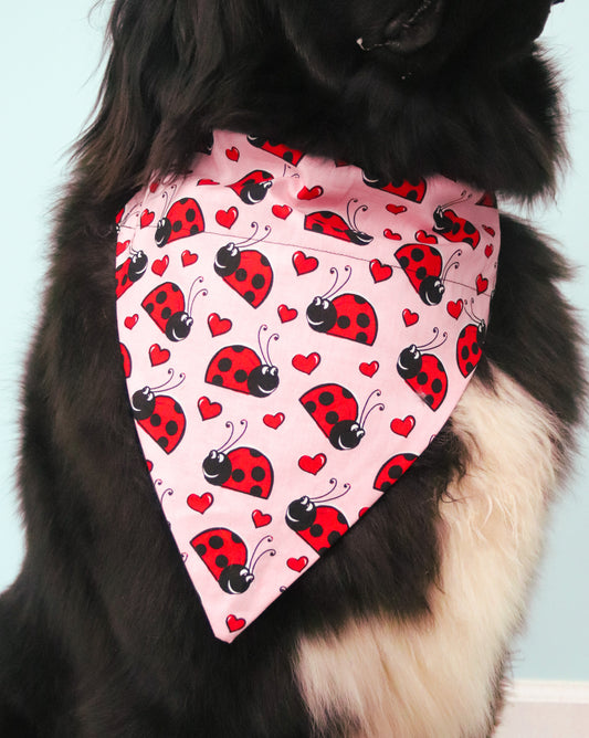 Valentine’s Day Lady Bug Bandana