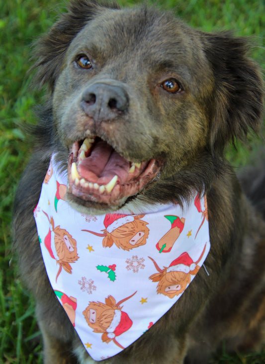 Christmas Highland Cow Bandana