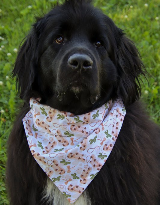 Floral Cowgirl Bandana
