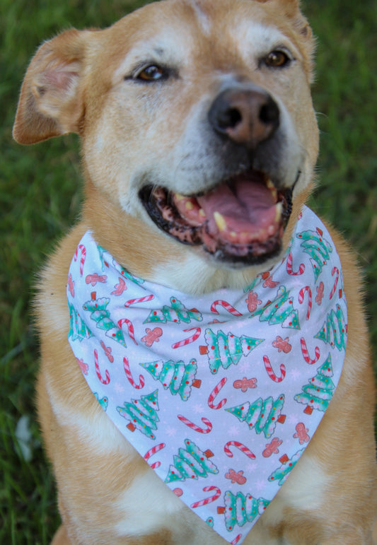 Pastel Christmas Bandana