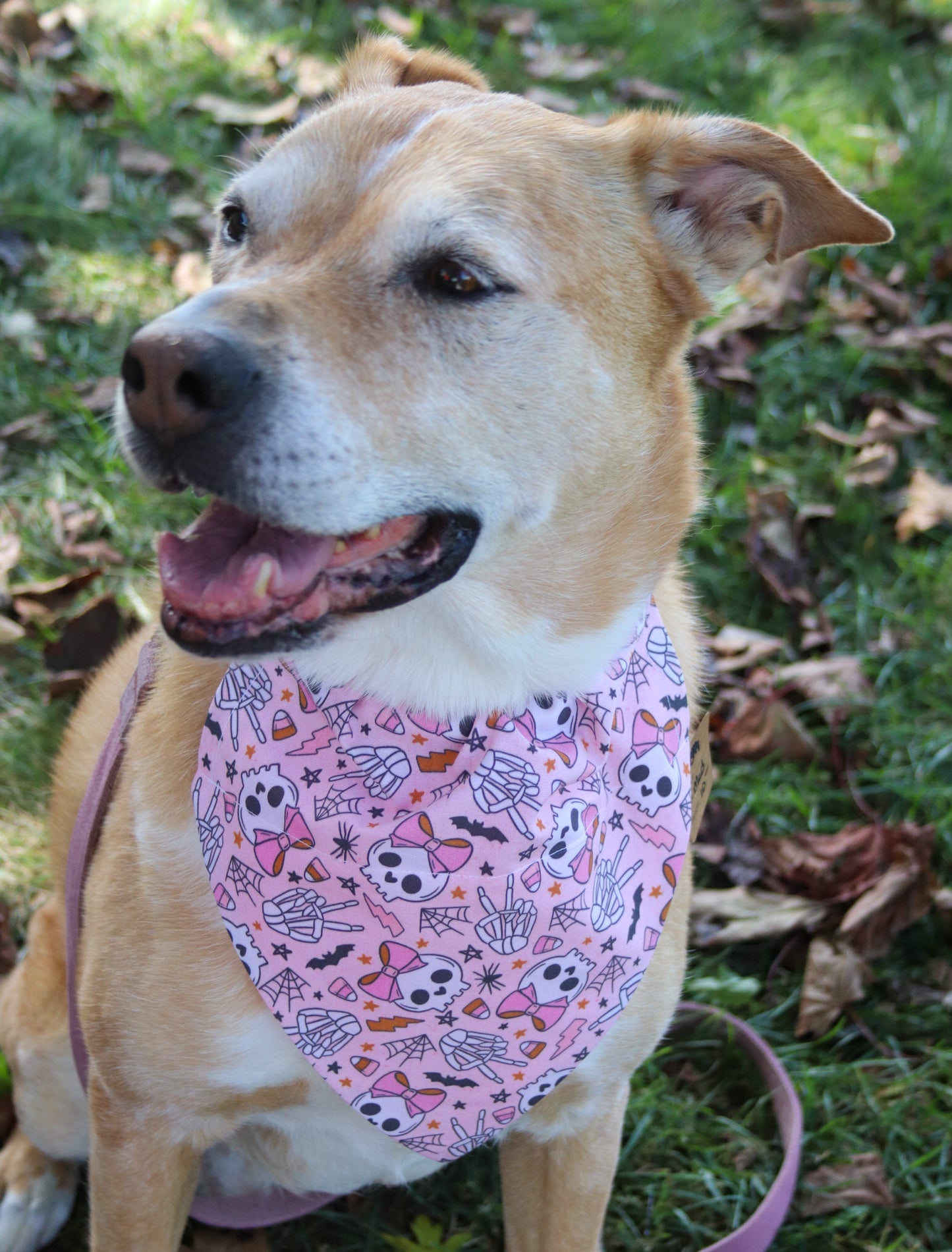 Pink Skull Peace Sign Bandana