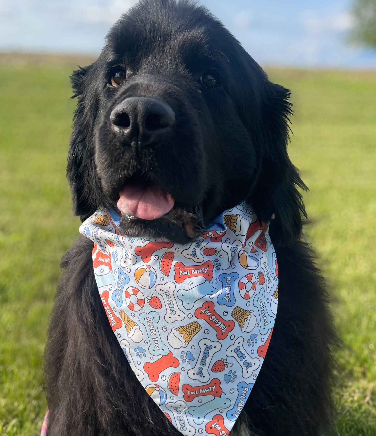 Pool Pawty Bandana