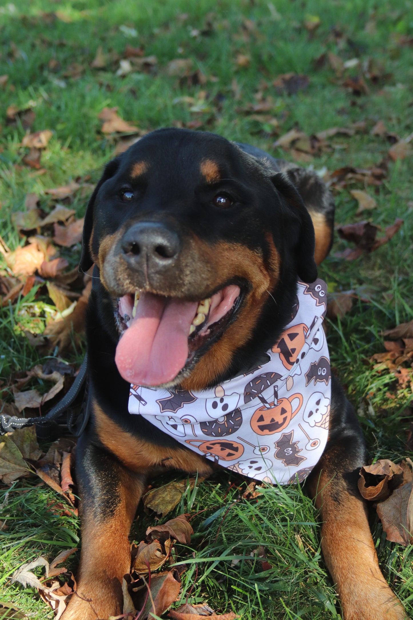 Halloween Desserts Bandana