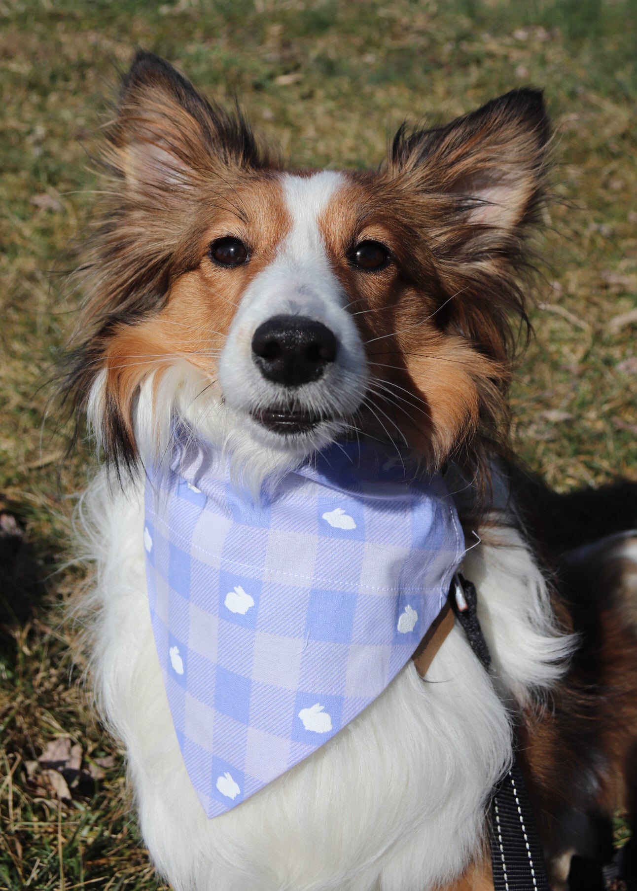 Plaid Bunnies Bandana