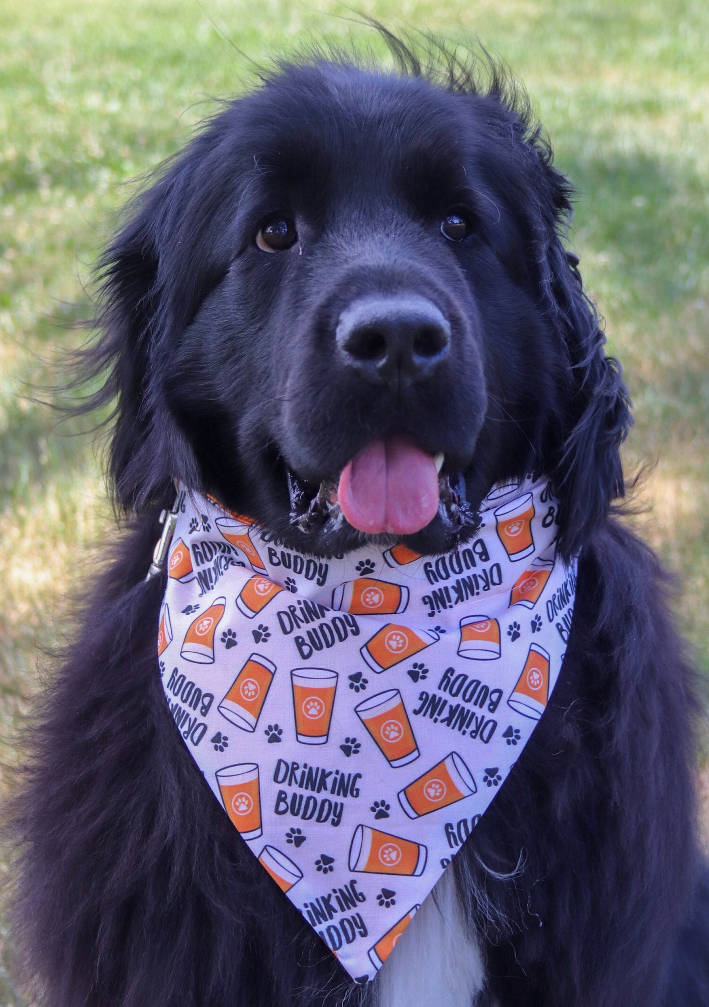 Drinking Buddy Beer Bandana