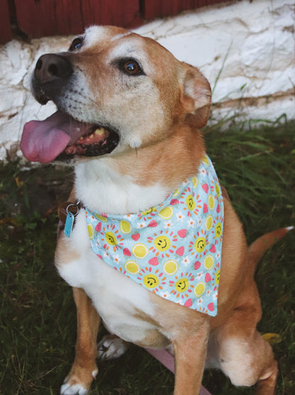 Strawberry/Lemon Sunshine Bandana