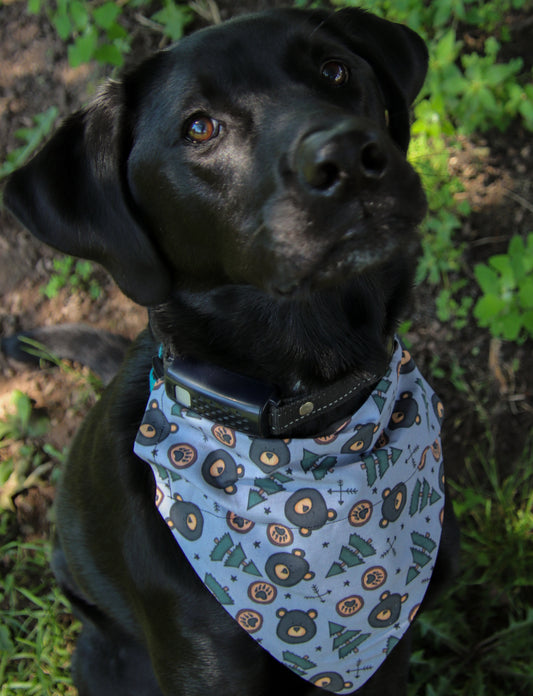 Black Bear Bandana