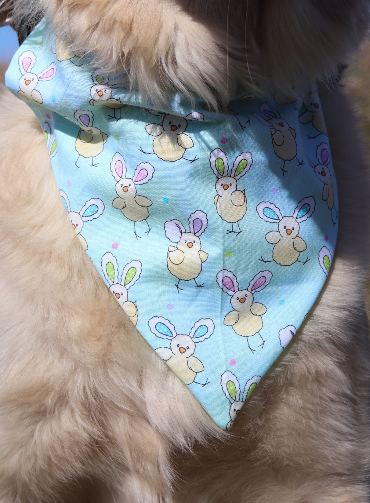 Bunny Ear Chick Bandana