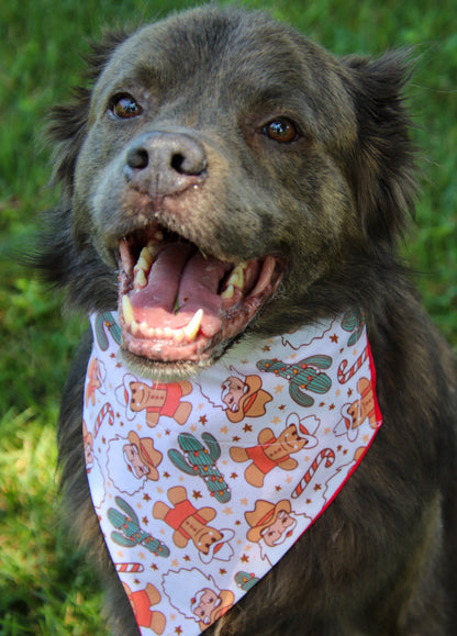 Cowboy Santa Bandana