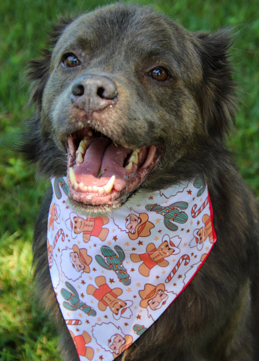 Cowboy Santa Bandana