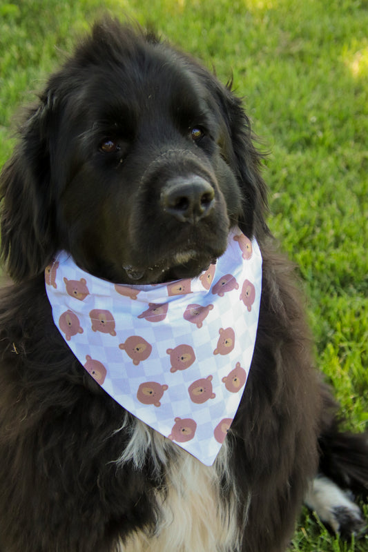 Plaid Teddy Bear Bandana