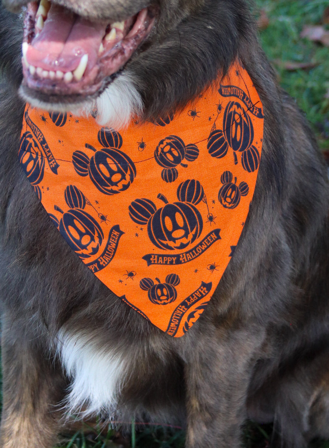 Mickey Mouse Pumpkin Halloween Bandana