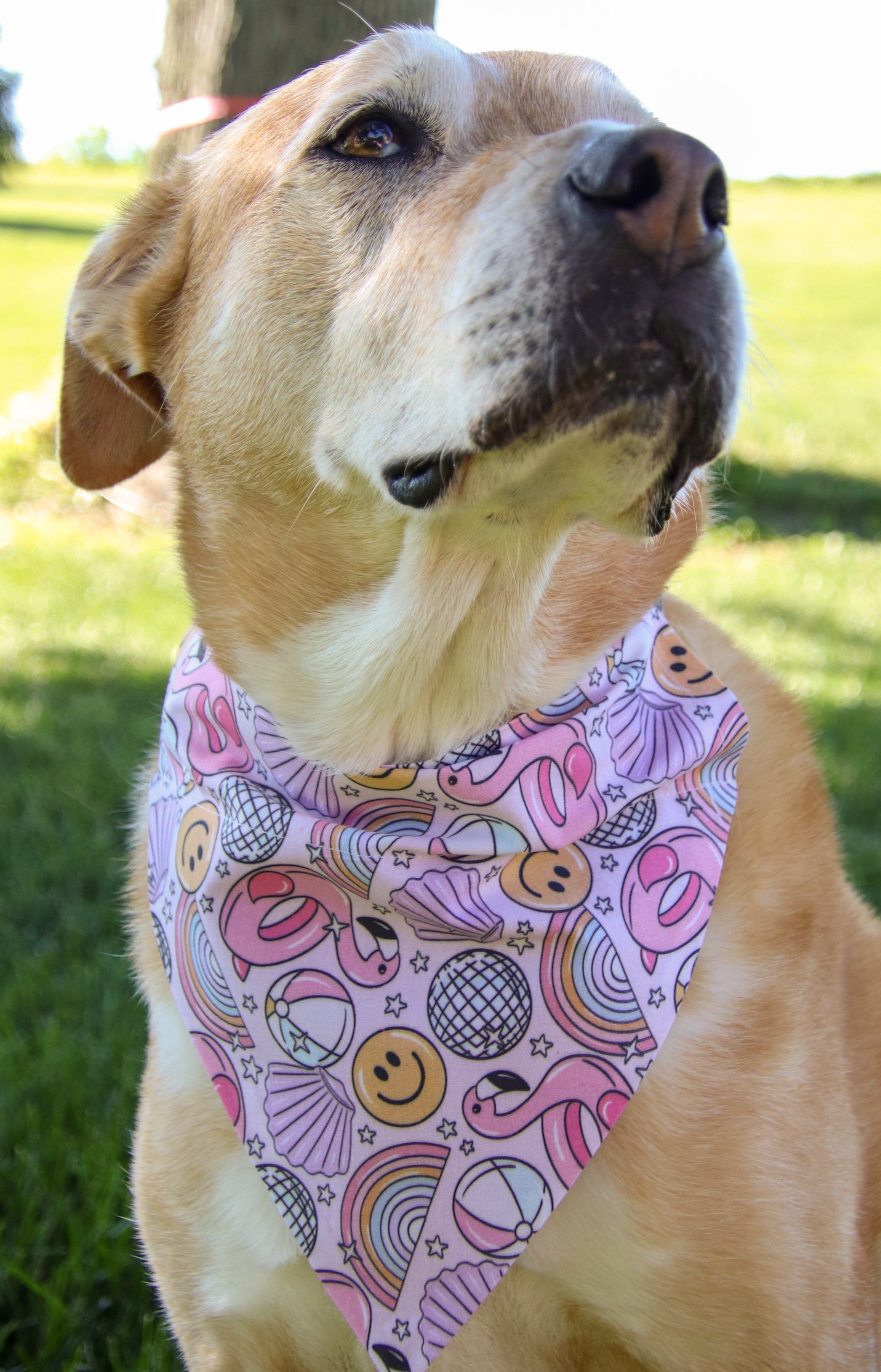 Beachball & Disco-ball Bandana