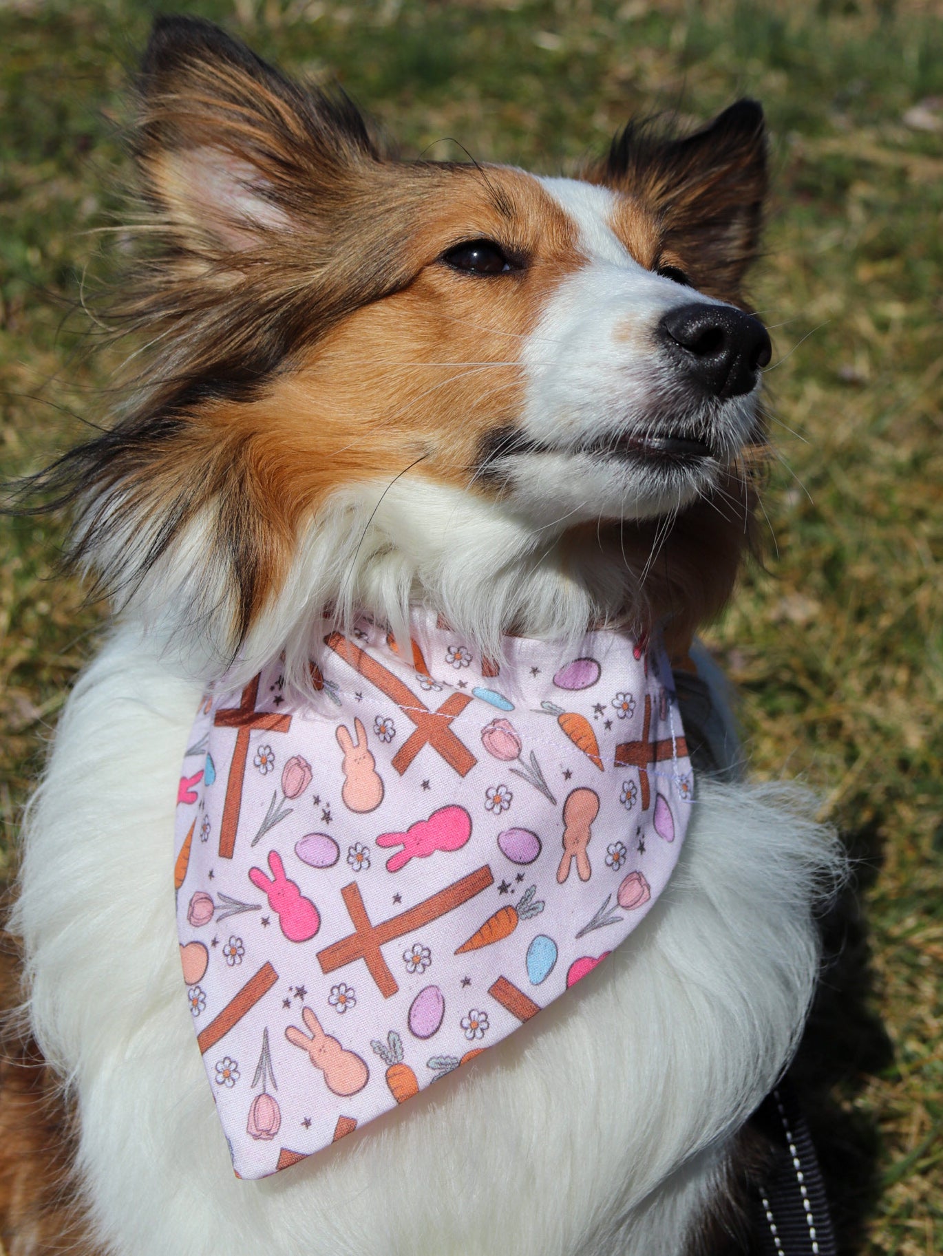 Crosses & Peeps Bandana