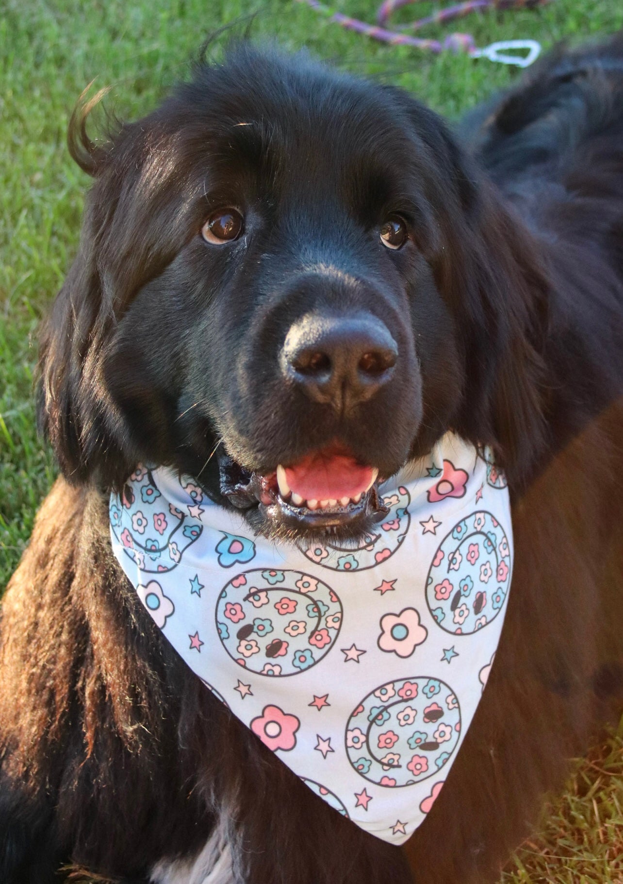 Floral Smiley Face Bandana