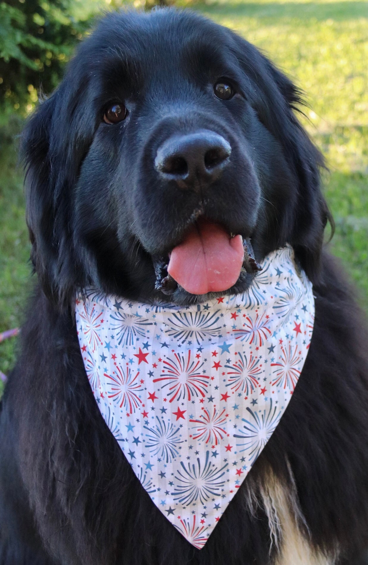 Fireworks Bandana