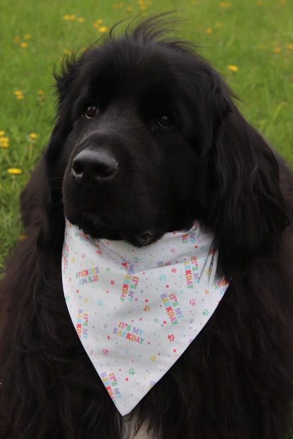 It’s My Barkday Bandana