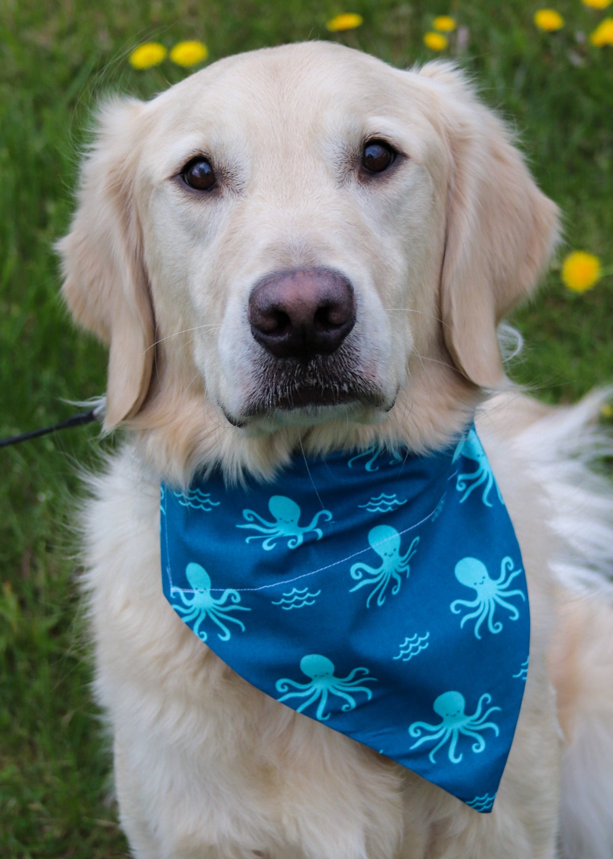 Octopus Bandana