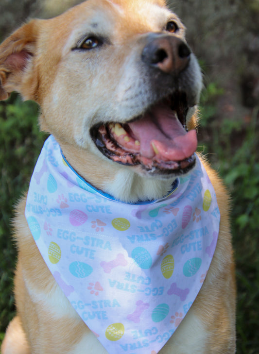 Egg-stra Cute Bandana