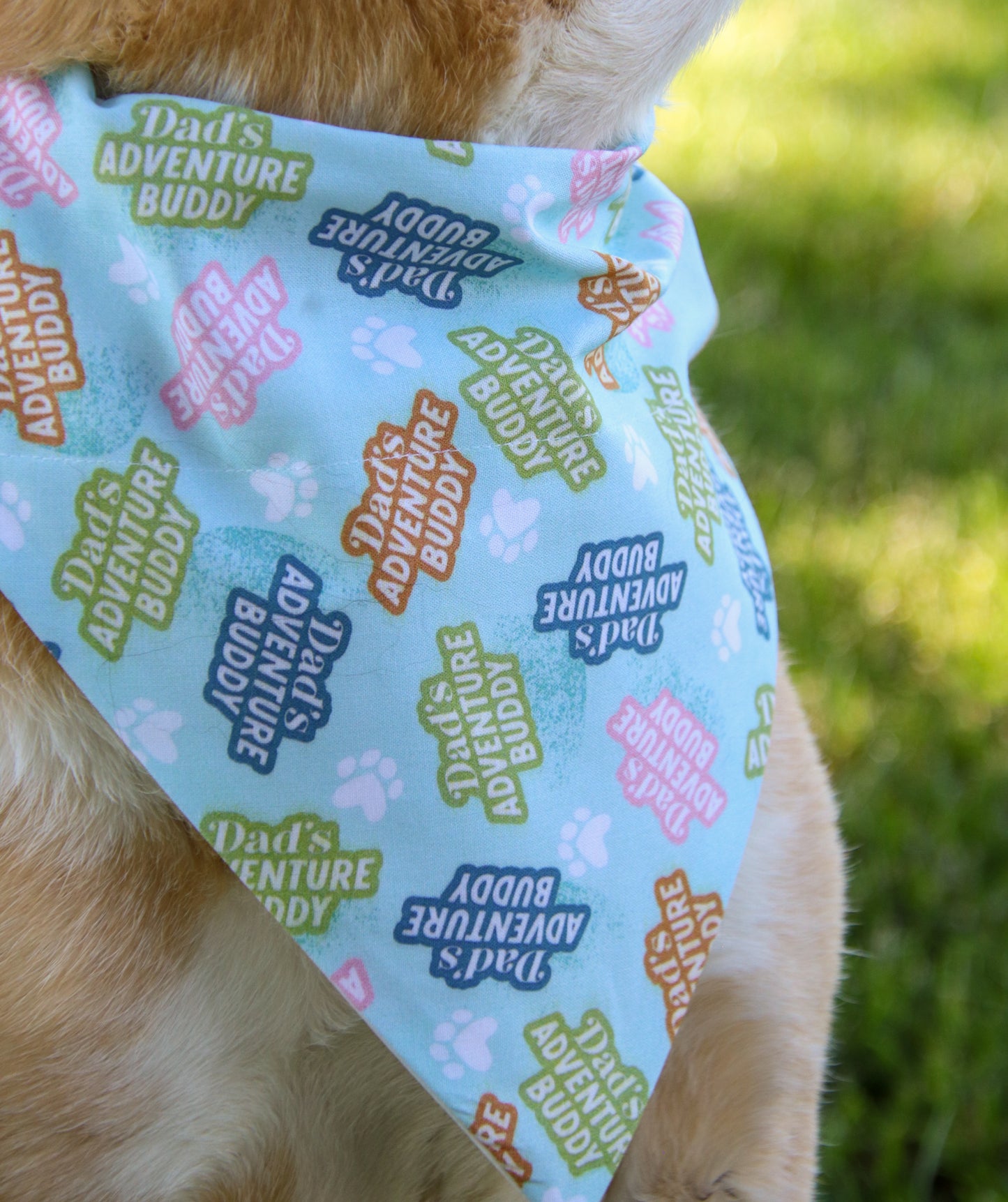 Dad’s Adventure Buddy Bandana