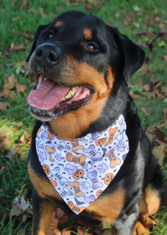 Halloween Bone Bandana