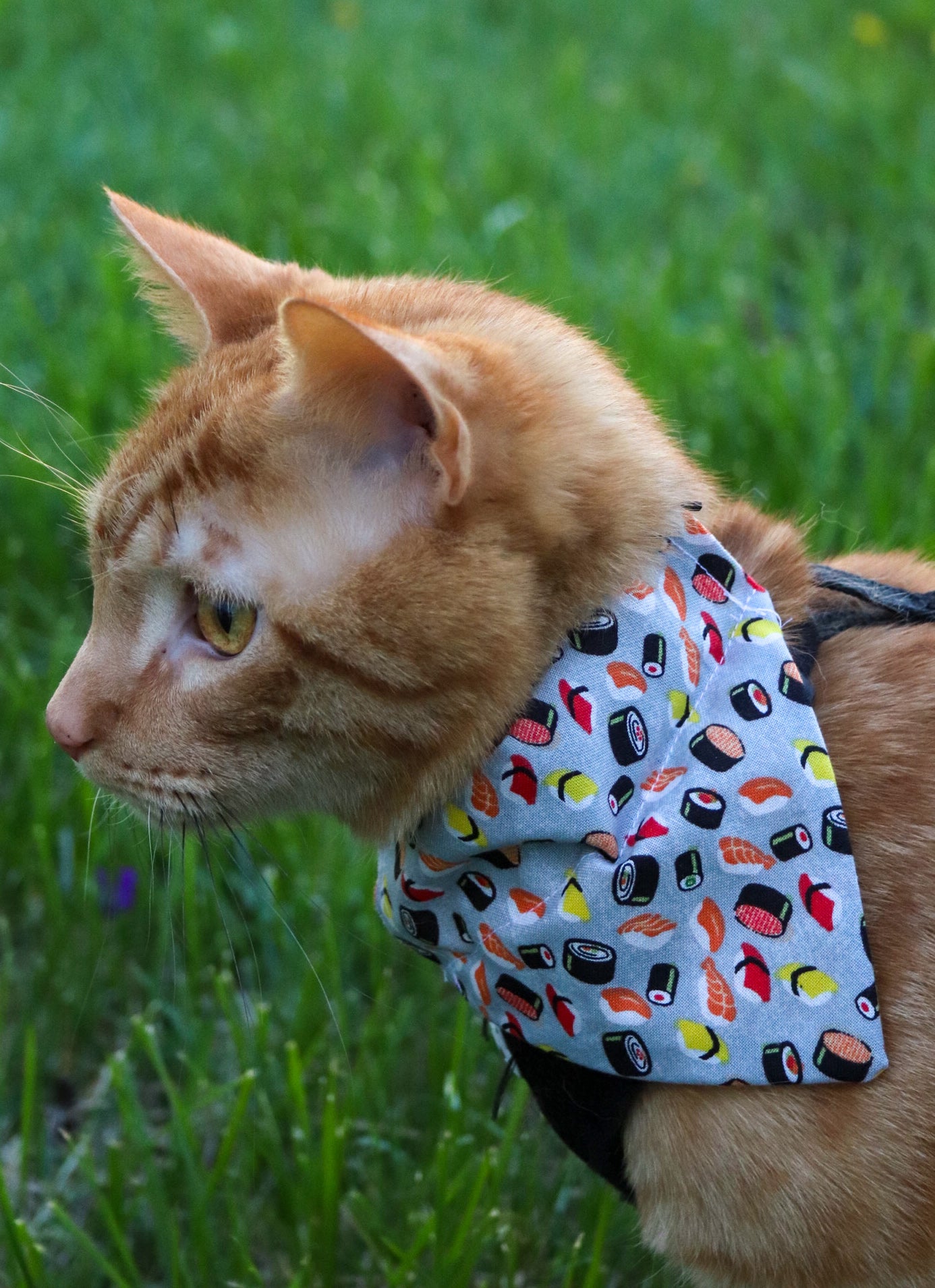 Sushi Cat Bandana